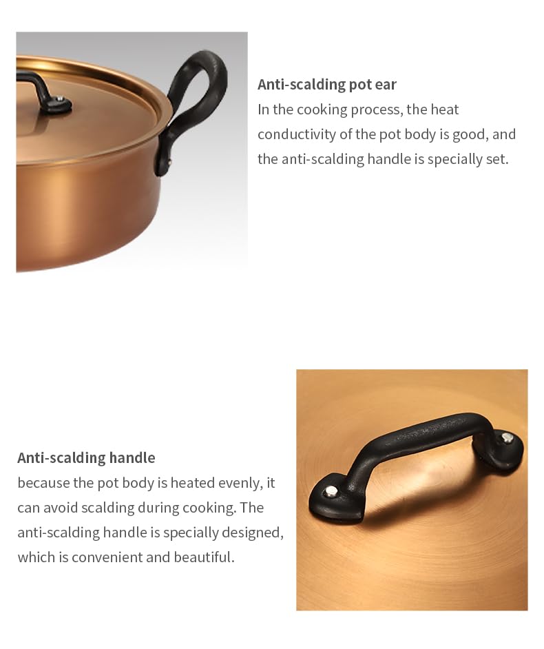 Copper-Toned Non-Stick Cooking Pan with Lid, 2 Handles, 26 cm