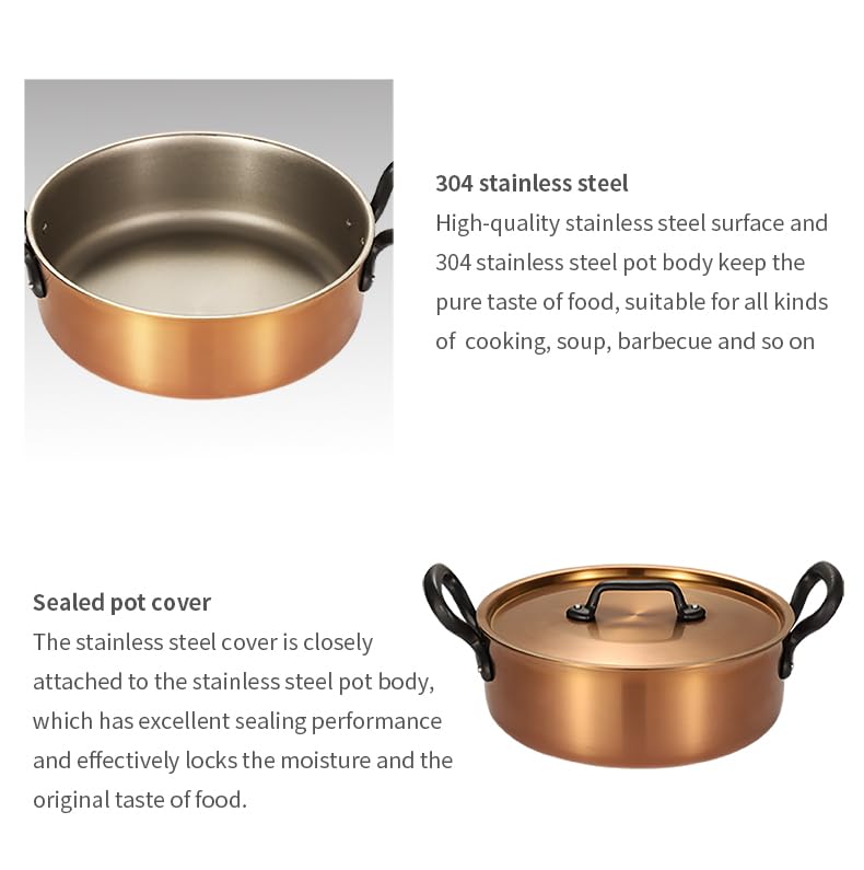 Copper-Toned Non-Stick Cooking Pan with Lid, 2 Handles, 26 cm