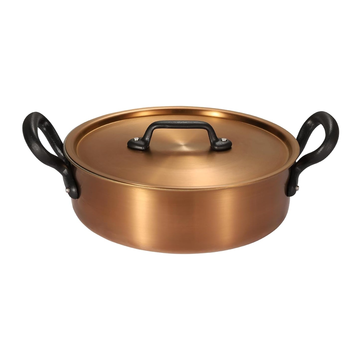 Nutrion Chefs Special Triply Steel cookware (4.2 Litre Copper Finish Pot)